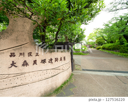 大森貝塚遺跡庭園 東京都 大森貝塚遺跡庭園 東京都 127516220