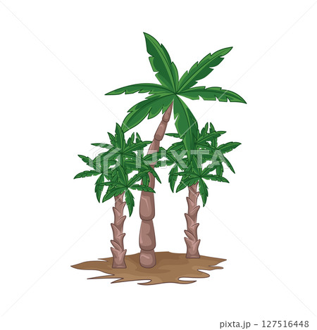 Illustration of Palm Tree 127516448