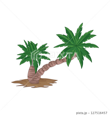 Illustration of Palm Tree Illustration of Palm Tree 127516457