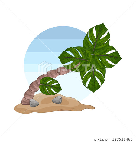 Illustration of Palm Tree Illustration of Palm Tree 127516460