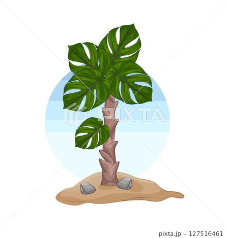 Illustration of Palm Tree Illustration of Palm Tree 127516461