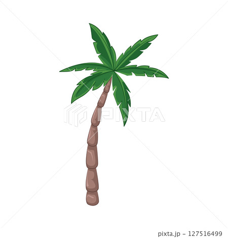 Illustration of Palm Tree 127516499