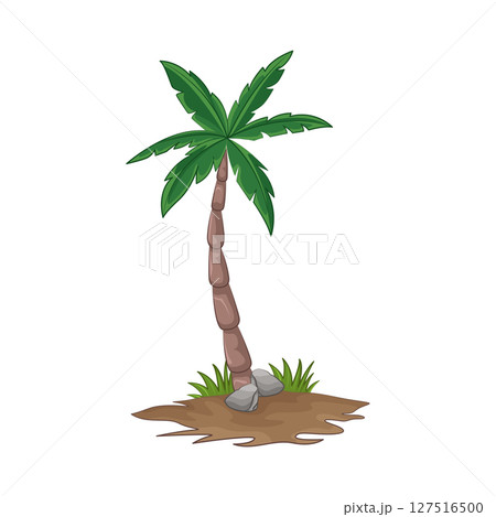 Illustration of Palm Tree 127516500