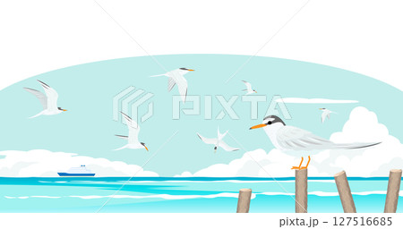 夏の海とコアジサシのイラスト - 渡り鳥と青空 夏の海とコアジサシのイラスト - 渡り鳥と青空 127516685