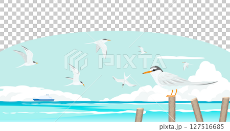 夏天大海和小燕鷗插畫-候鳥和藍天 127516685