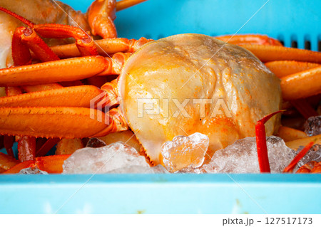 水揚げされたばかりの新鮮な紅ズワイガニ 127517173
