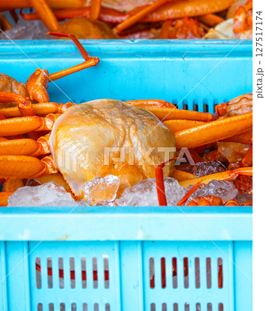 水揚げされたばかりの新鮮な紅ズワイガニ 127517174