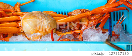 水揚げされたばかりの新鮮な紅ズワイガニ 127517180