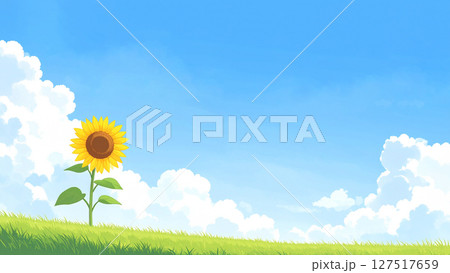 一輪の向日葵と青空 一輪の向日葵と青空 127517659