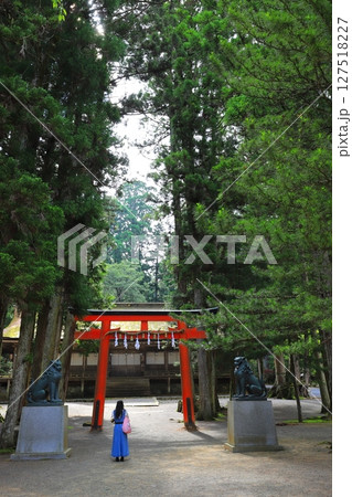高野山　山王院　壇上伽藍 127518227