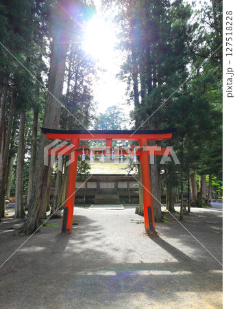 高野山 山王院 壇上伽藍 高野山 山王院 壇上伽藍 127518228