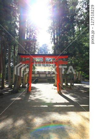 高野山　山王院　壇上伽藍 127518229