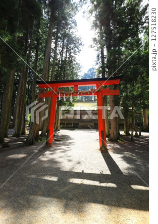 高野山　山王院　壇上伽藍 127518230
