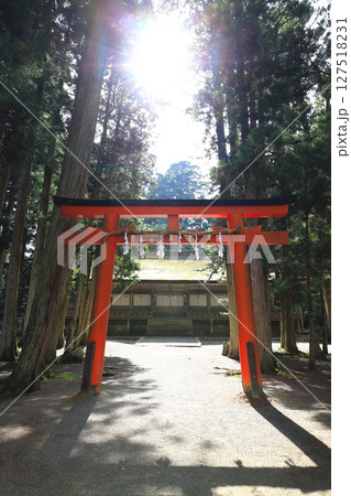高野山　山王院　壇上伽藍 127518231