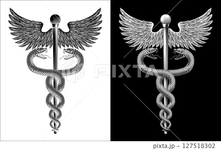 Caduceus Medical Asclepius Rod Doctor Symbol Icon Caduceus Medical Asclepius Rod Doctor Symbol Icon 127518302