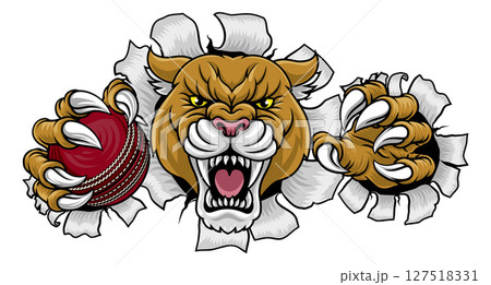 Cougar Panther Mountain Lion Puma Cricket Mascot 127518331