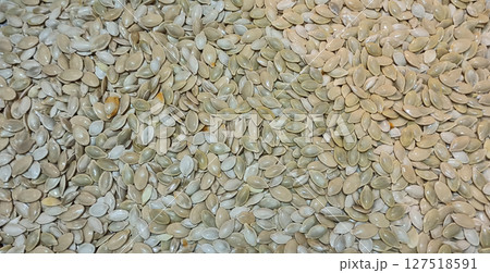 Useful pumpkin seeds. Healthy food. Natural food. White pumpkin seeds 127518591