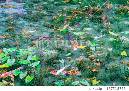 岐阜県関市の名もなき池 127518733