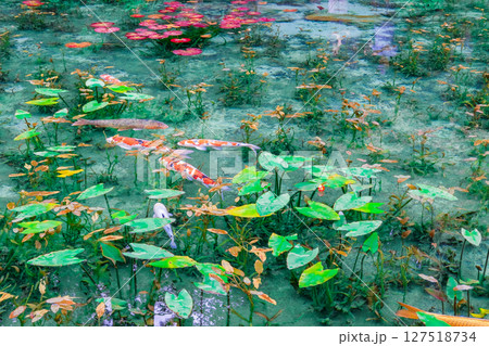 岐阜県関市の名もなき池 127518734