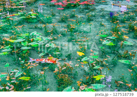 岐阜県関市の名もなき池 127518739