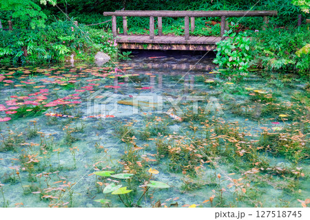 岐阜県関市の名もなき池 127518745