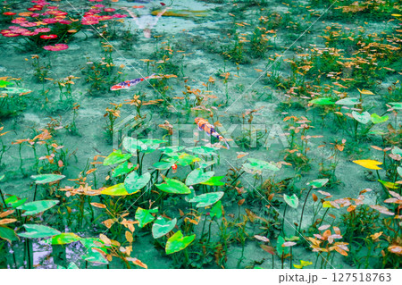 岐阜県関市の名もなき池 127518763