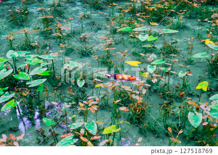 岐阜県関市の名もなき池 127518769