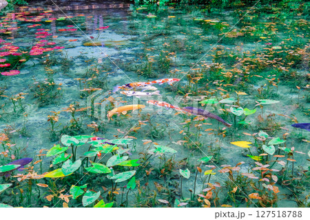 岐阜県関市の名もなき池 127518788