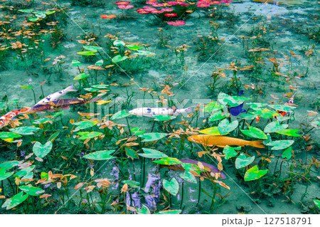 岐阜県関市の名もなき池 127518791