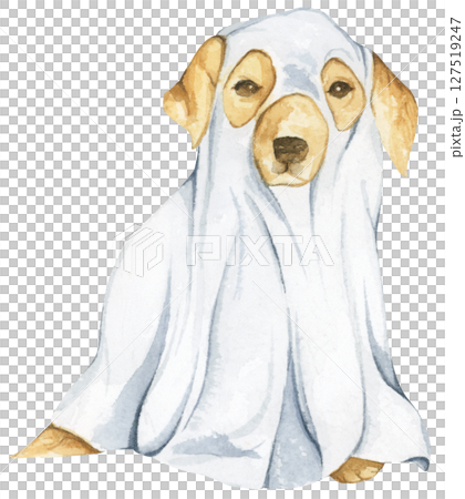 Watercolor Ghost Dog. Trick or Treat. Hand Drawn Halloween Dogs Illustration. Spooky Pet Costume. 127519247