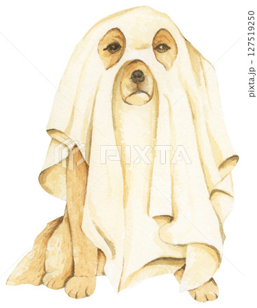 Watercolor Ghost Dog. Trick or Treat. Hand Drawn Halloween Dogs Illustration. Spooky Pet Costume. 127519250