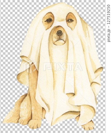 Watercolor Ghost Dog. Trick or Treat. Hand Drawn Halloween Dogs Illustration. Spooky Pet Costume. 127519250