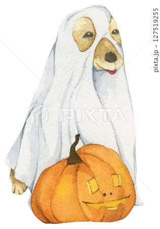 Watercolor Ghost Dog. Trick or Treat. Hand Drawn Halloween Dogs Illustration. Spooky Pet Costume. 127519255
