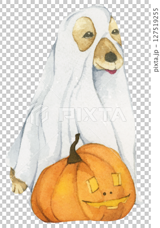 Watercolor Ghost Dog. Trick or Treat. Hand Drawn Halloween Dogs Illustration. Spooky Pet Costume. 127519255