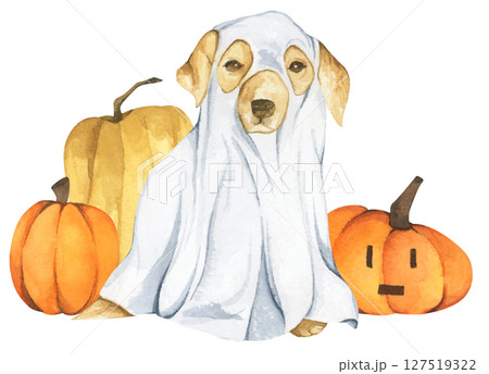 Watercolor Ghost Dog. Trick or Treat. Hand Drawn Halloween Dogs Illustration. Spooky Pet Costume. 127519322