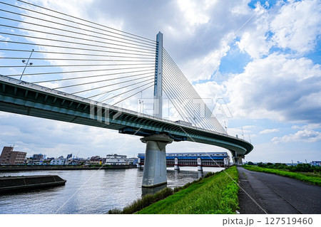 6月の四つ木荒川土手と青空と高速道路 127519460