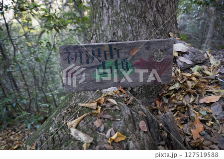 高尾天神社、初沢山 127519588