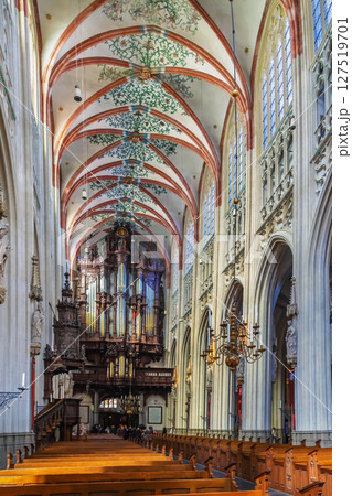 St. John's Cathedral, s-Hertogenbosch, Netherlands St. John's Cathedral, s-Hertogenbosch, Netherlands 127519701