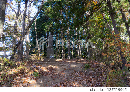 南高尾セブンサミッツトレイル、高尾山周辺 南高尾セブンサミッツトレイル、高尾山周辺 127519945