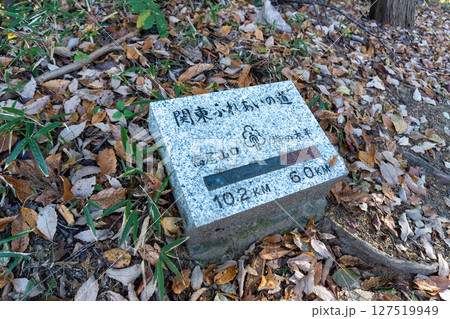 南高尾セブンサミッツトレイル、高尾山周辺 南高尾セブンサミッツトレイル、高尾山周辺 127519949