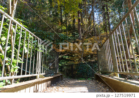 南高尾セブンサミッツトレイル、高尾山周辺 南高尾セブンサミッツトレイル、高尾山周辺 127519971