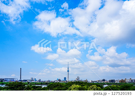 爽やかな青空とスカイツリーと街の風景 爽やかな青空とスカイツリーと街の風景 127520193