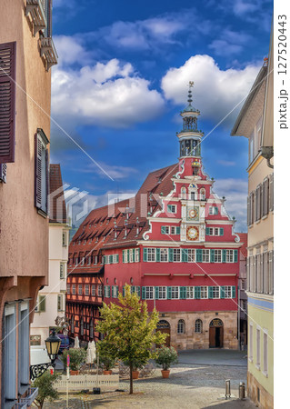 Old Town Hall, Esslingen am Neckar, Germany 127520443