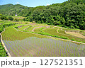 兵庫県宍粟市一宮町にある棚田遺産、山田の棚田は美しい石積の石垣が特徴です 127521351