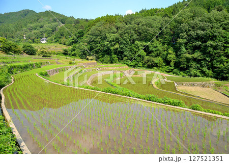 兵庫県宍粟市一宮町にある棚田遺産、山田の棚田は美しい石積の石垣が特徴です 兵庫県宍粟市一宮町にある棚田遺産、山田の棚田は美しい石積の石垣が特徴です 127521351