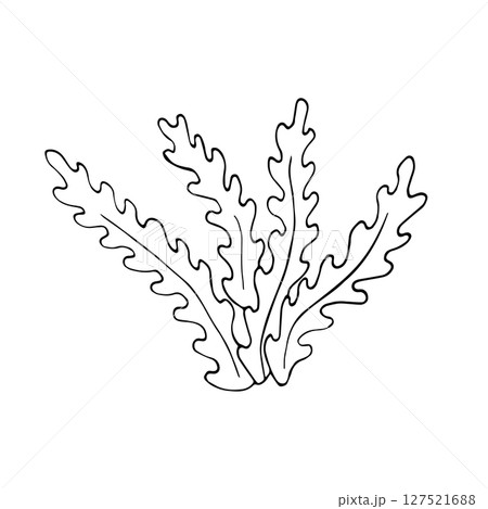 Hand-drawn seaweed silhouette in black line art style. Minimalist marine plant illustration perfect for packaging, logos, or underwater-themed designs. 127521688