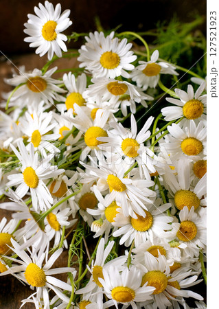 White Daisy Flowers Bunch Yellow Centers White Daisy Flowers Bunch Yellow Centers 127521923