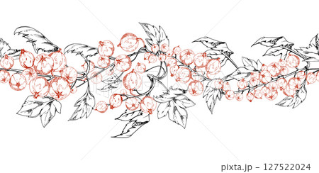 Currant gooseberry with leaves in clusters, ripe berry casseille juneberry jostaberry, hand drawn in vector ink. Isolated seamless banner border garland. Dessert menu, eco farmers market, gardening. 127522024