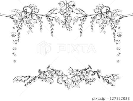 Currant gooseberry green leaves, long flower clusters, garden berry hanging on branches. Isolated corner frame hand drawn in vector ink. Craft cosmetics, dessert menu stationery, jam jar food labels 127522028