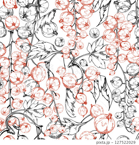 Currant gooseberry cluster bunch raceme with leaves, ripe garden berry casseille jostaberry juneberry, vector ink hand drawn. Isolated seamless pattern. Seasonal menu cover, fabric, eco wrapping paper Currant gooseberry cluster bunch raceme with leaves, ripe garden berry casseille jostaberry juneberry, vector ink hand drawn. Isolated seamless pattern. Seasonal menu cover, fabric, eco wrapping paper 127522029